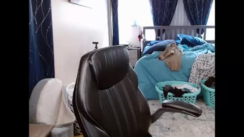 mouse_finbar online show from March 2026 04:09:02 AM