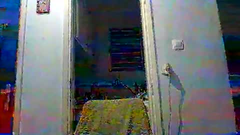 Snapshot of mppempis81 chatting on November 2025 03:45:01 PM mppempis81 online show from November 2025 03:45:01 PM