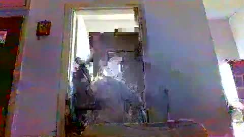 Snapshot of mppempis81 chatting on November 2025 07:08:01 AM mppempis81 online show from November 2025 07:08:01 AM