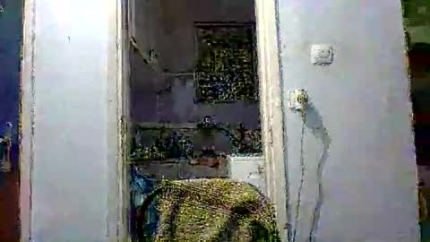 mppempis81 online show from December 2025 07:31:01 PM