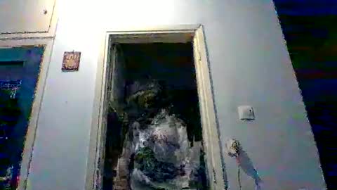 mppempis81 online show from February 2026 08:40:02 PM