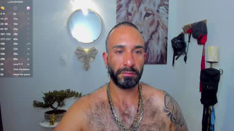 Snapshot of mr_maik22 chatting on January 2025 10:49:02 AM mr_maik22 online show from January 2025 10:49:02 AM