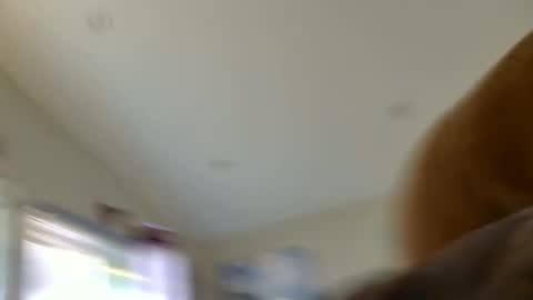 Sterling  Lena online show from August 2026 01:29:02 AM