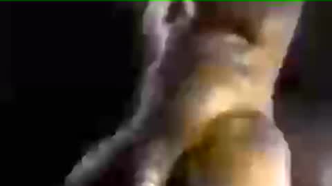 MrBigDiQ1 online show from June 2026 03:40:01 PM