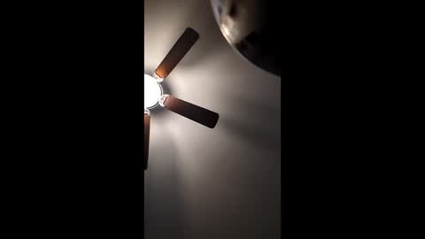 mrorange50187 online show from December 2024 01:11:02 PM