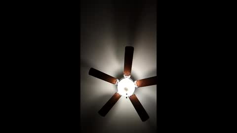 mrorange50187 online show from January 2025 11:30:01 PM