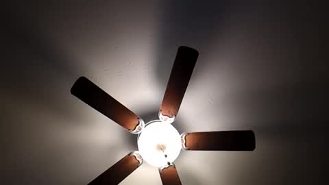 mrorange50187 online show from January 2025 10:02:01 PM