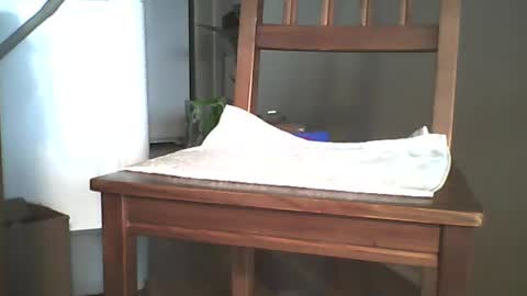 Snapshot of mrroarke chatting on December 2024 11:35:01 PM Longshot online show from December 2024 11:35:01 PM