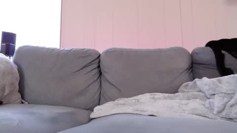 Snapshot of mrshlongboy21 chatting on November 2025 05:59:01 PM mrshlongboy21 online show from November 2025 05:59:01 PM