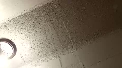 melissa online show from January 2026 02:57:02 AM