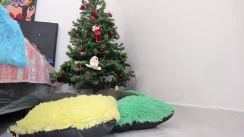 Chloe new account online show from December 2024 08:07:02 PM