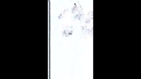 Snapshot of mudjimba chatting on February 2026 05:17:01 AM mudjimba online show from February 2026 05:17:01 AM