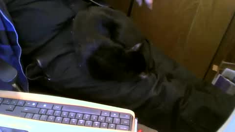 muller520 online show from February 2025 06:48:02 PM