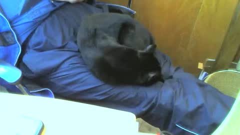 muller520 online show from September 2025 02:50:01 PM