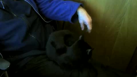 muller520 online show from January 2026 04:21:02 PM