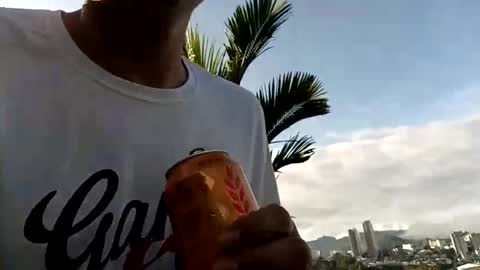 Sebastian online show from December 2024 12:27:02 PM