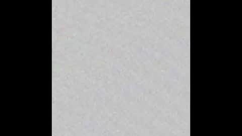 Snapshot of mvnt1s chatting on March 2025 10:05:02 PM ghost mantis online show from March 2025 10:05:02 PM