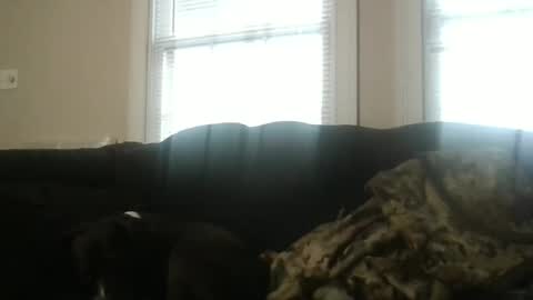 Snapshot of my_banana_creampies chatting on February 2026 01:51:01 PM my_banana_creampies online show from February 2026 01:51:01 PM