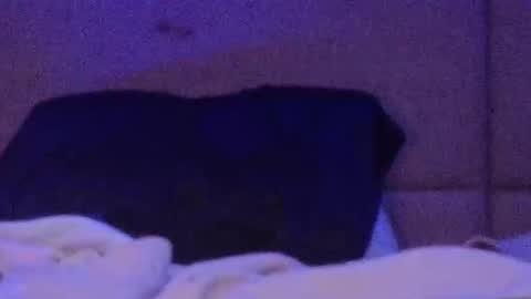 mycloudyalt online show from March 2026 01:54:02 AM