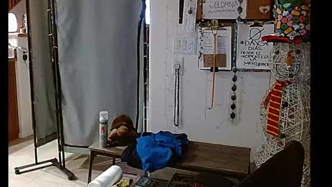 Snapshot of mycock4u247 chatting on December 2024 10:50:01 AM LA MARIPOSA DE MARICOPA online show from December 2024 10:50:01 AM