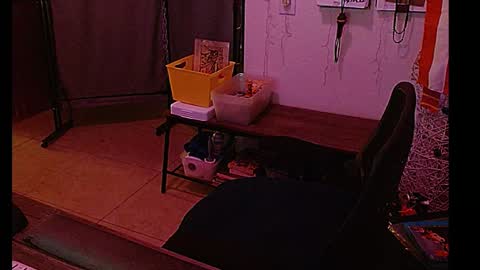 Snapshot of mycock4u247 chatting on January 2025 08:27:02 AM LA MARIPOSA DE MARICOPA online show from January 2025 08:27:02 AM