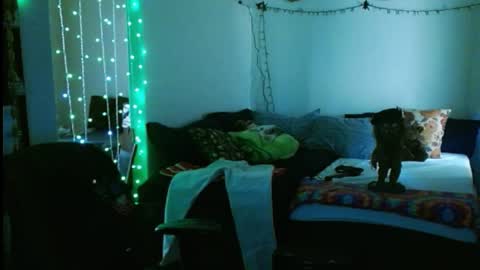 Snapshot of mycock4u247 chatting on February 2025 10:10:01 PM LA MARIPOSA DE MARICOPA online show from February 2025 10:10:01 PM