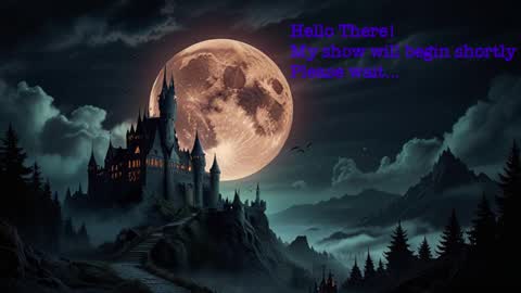 Snapshot of mysterymonkey1234 chatting on January 2025 10:13:02 PM MysteryMonkey online show from January 2025 10:13:02 PM