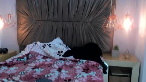 nai_blue online show from October 2025 03:14:02 AM