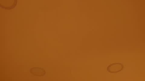 INSTAGRAM  m2221     online show from April 2026 10:04:02 AM