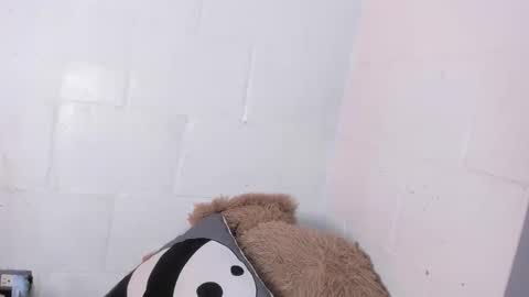 nala_sc online show from June 2026 07:44:01 AM