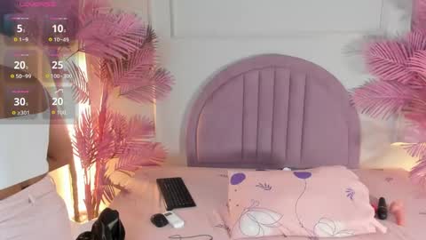 nalapalmer online show from May 2026 11:37:01 AM