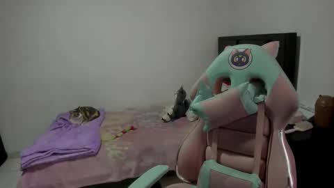 Snapshot of namibecker chatting on February 2026 06:59:02 PM Nami online show from February 2026 06:59:02 PM