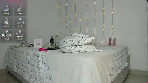 Snapshot of namir__ chatting on November 2025 04:44:01 AM Namir online show from November 2025 04:44:01 AM