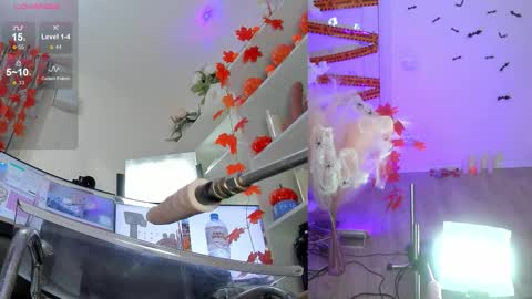 INSTAGRAM     bekkercat  online show from November 2025 11:12:02 AM