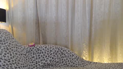 Snapshot of nareex chatting on March 2025 07:45:01 AM nareex online show from March 2025 07:45:01 AM