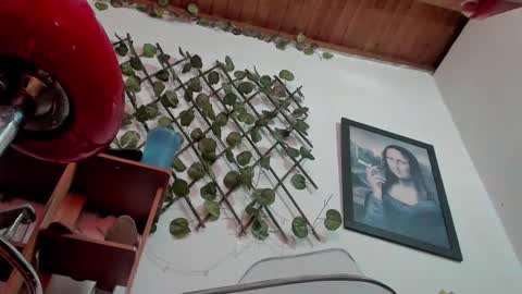 Nasha online show from October 2025 05:30:02 PM