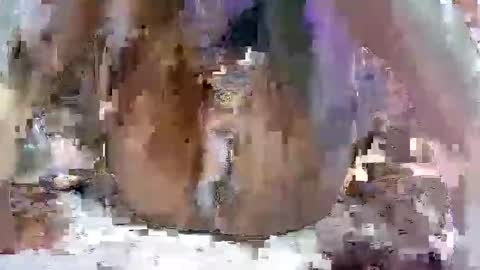 Snapshot of nasty_toy chatting on January 2025 06:17:01 AM nasty toy online show from January 2025 06:17:01 AM