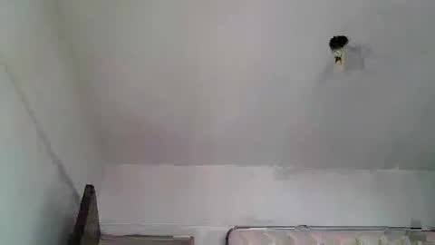 Snapshot of nastyboy088 chatting on February 2025 03:08:01 PM Nastyboy088 online show from February 2025 03:08:01 PM