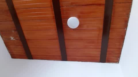 nath_dawson online show from December 2025 03:06:01 PM