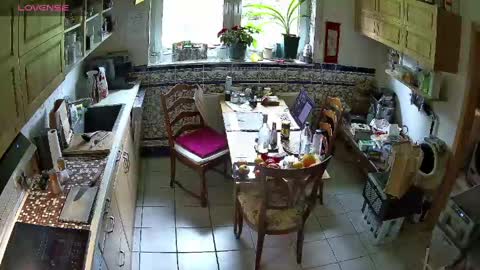 Nature online show from April 2026 10:27:02 AM