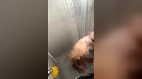 Joyci Lima online show from March 2026 01:48:02 PM