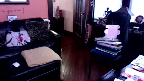 Snapshot of naughtybone chatting on January 2025 03:46:02 PM naughtybone online show from January 2025 03:46:02 PM