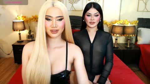 F R A N Z I A online show from March 2026 09:20:01 AM