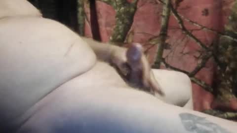 ned is naughty online show from March 2026 10:45:02 AM