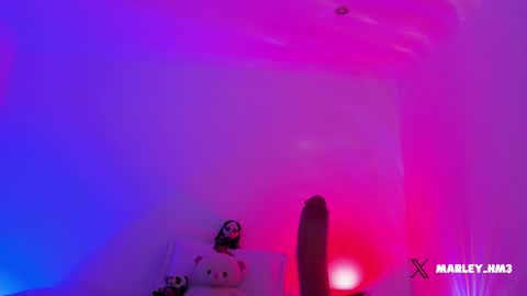 xd online show from December 2025 10:25:01 PM