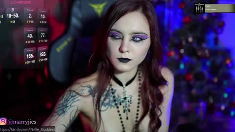 Snapshot of nelle_ chatting on December 2024 10:23:02 AM    online show from December 2024 10:23:02 AM