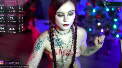 Snapshot of nelle_ chatting on December 2024 04:19:01 PM    online show from December 2024 04:19:01 PM