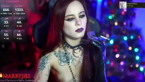 Snapshot of nelle_ chatting on January 2025 12:44:02 PM    online show from January 2025 12:44:02 PM