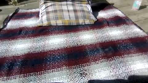 neosohorny online show from April 2026 07:22:02 PM