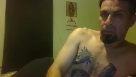 Nerfylil online show from April 2026 09:29:02 AM